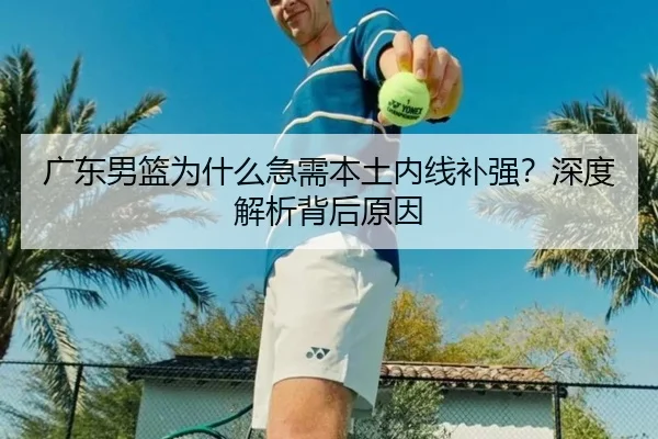 广东男篮为什么急需本土内线补强？深度解析背后原因