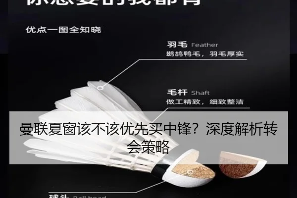 曼联夏窗该不该优先买中锋？深度解析转会策略