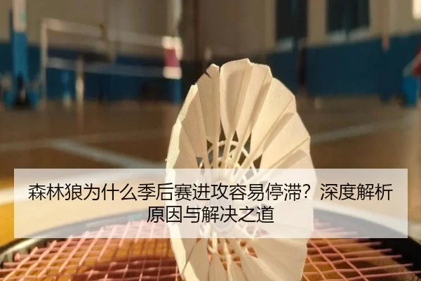 森林狼为什么季后赛进攻容易停滞？深度解析原因与解决之道