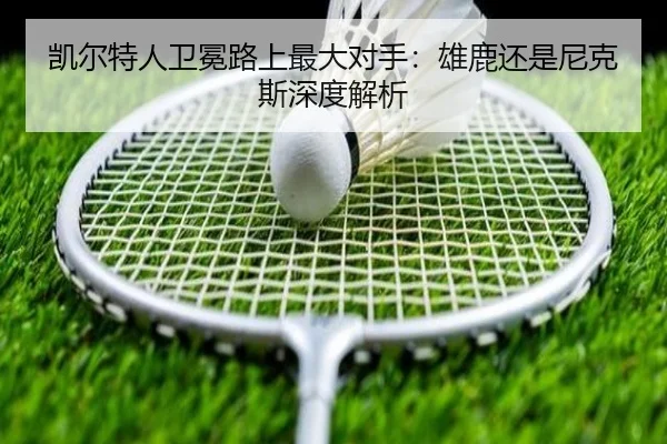 凯尔特人卫冕路上最大对手：雄鹿还是尼克斯深度解析